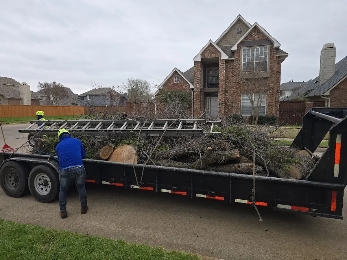 Expert Crown Reduction with proper safety equipment in Blauvelt